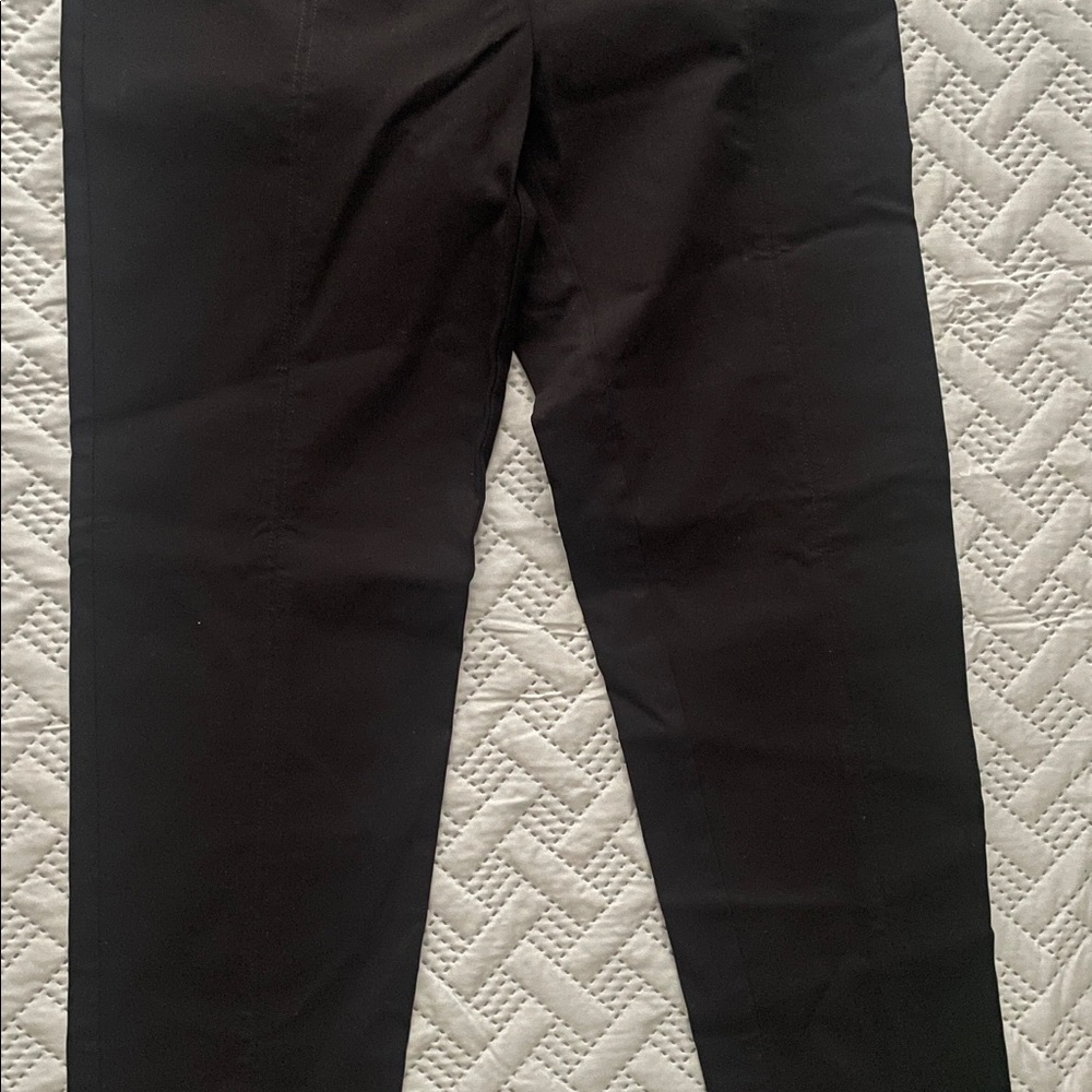 Black dressy jeggins
